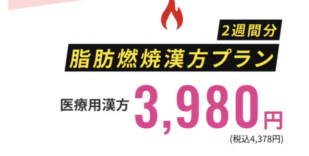 クリニックフォアのダイエット 料金・費用は?脂肪燃焼漢方プランは3,980円から!