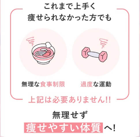 レバクリ医療ダイエットの料金・費用