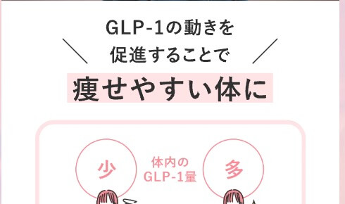 GLP-1で痩せやすい体に！レバクリ医療ダイエット