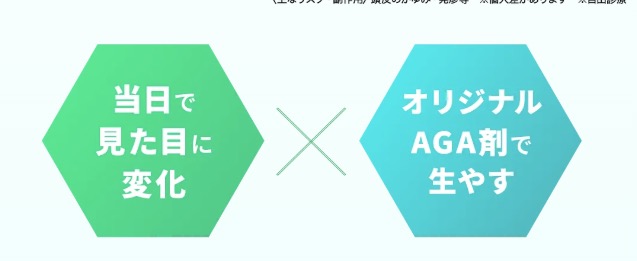 はえちょるの2つの特徴